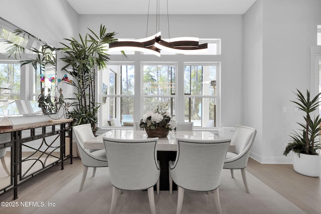 dining space with light hardwood / wood-style floors