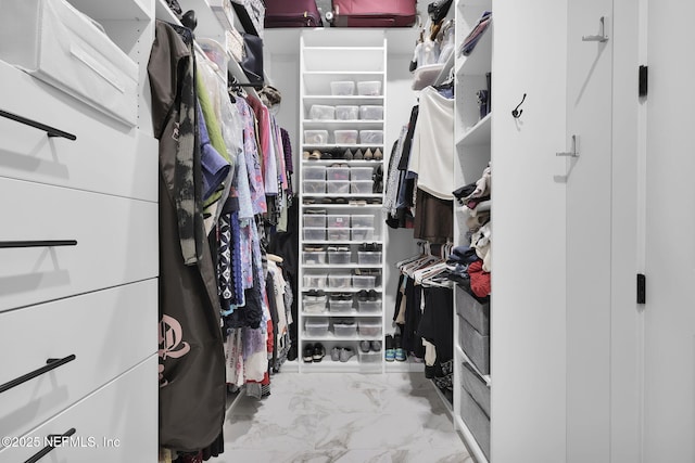 view of walk in closet