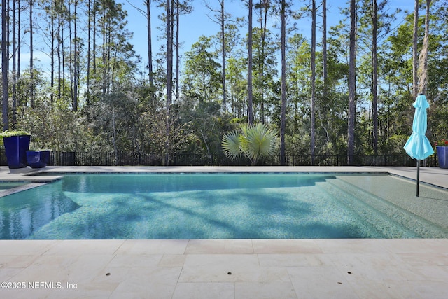 view of swimming pool