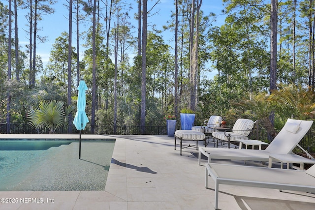 view of swimming pool with a patio area