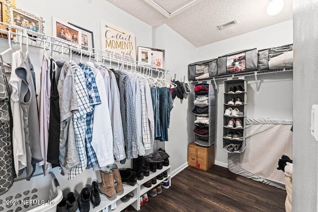 spacious closet featuring lofted ceiling and dark hardwood / wood-style floors