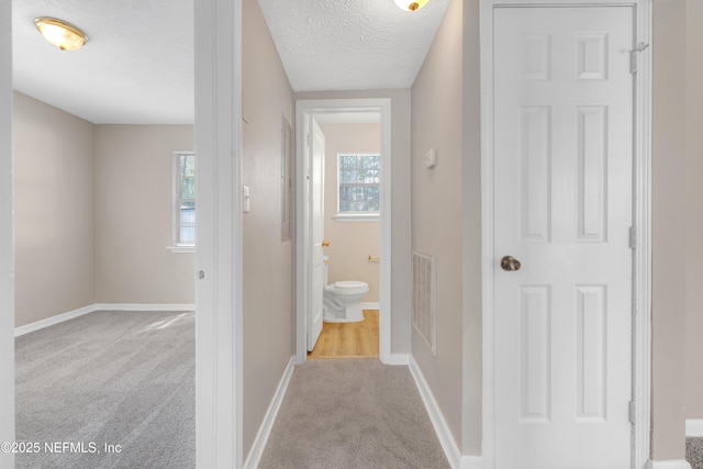 hallway featuring a wealth of natural light, light colored carpet, and a textured ceiling