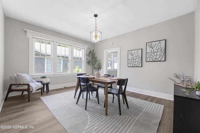 dining area with plenty of natural light, hardwood / wood-style floors, and a textured ceiling