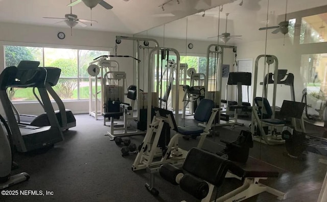 gym featuring ceiling fan and a wealth of natural light