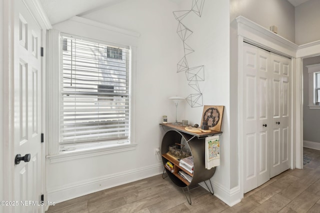 hallway featuring plenty of natural light, baseboards, and wood finished floors