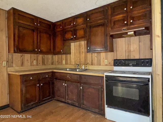 kitchen featuring wood walls, sink, electric range, a textured ceiling, and light hardwood / wood-style flooring