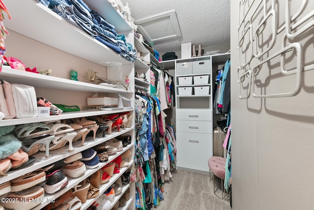 spacious closet with light carpet