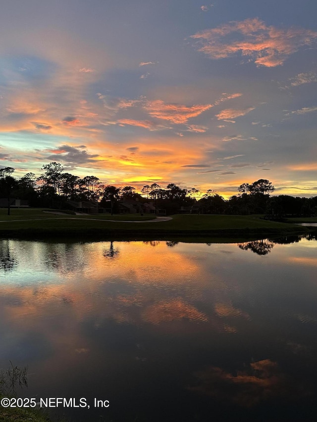 property view of water