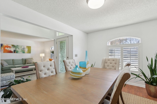 dining room with a textured ceiling and wood finished floors