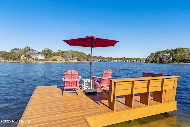 dock area with a water view