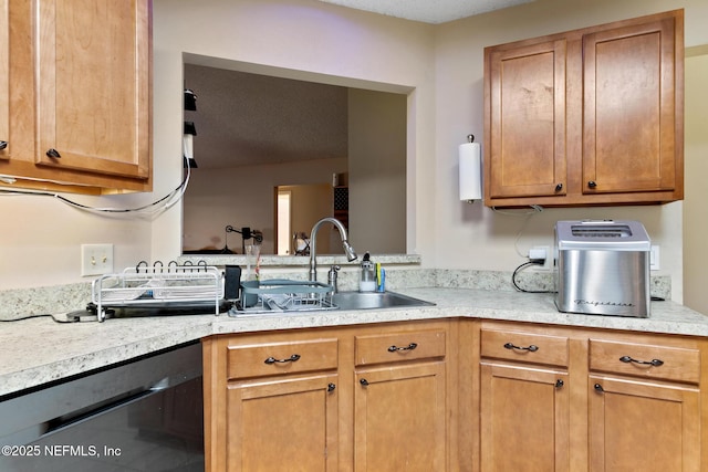 kitchen with black dishwasher and sink