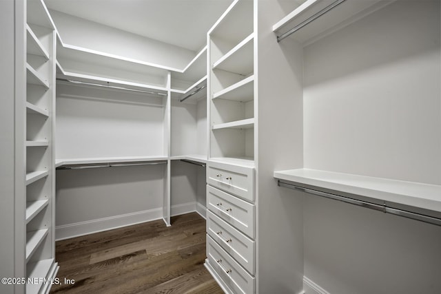 walk in closet with dark wood-type flooring