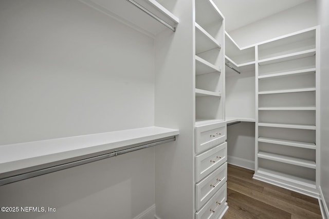 walk in closet with dark wood-type flooring