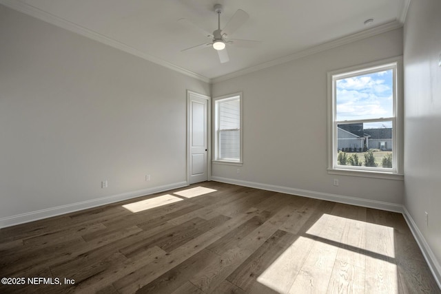 spare room featuring crown molding, dark wood-type flooring, and ceiling fan