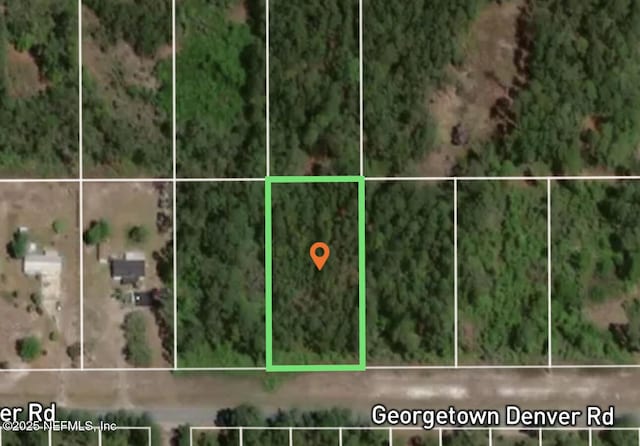 348 Georgetown Denver Rd, Georgetown FL, 32139 land for sale