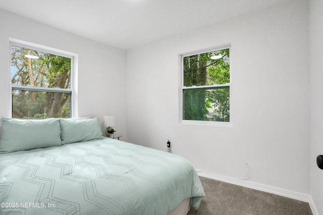 carpeted bedroom with multiple windows