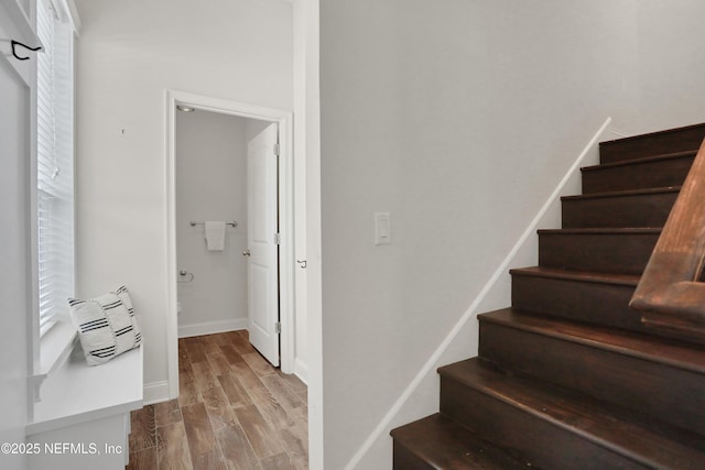 staircase featuring hardwood / wood-style floors