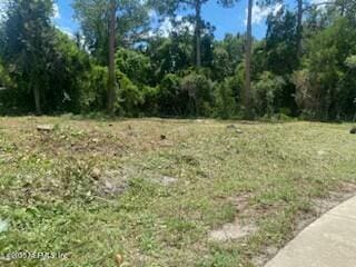 Listing photo 3 for 0 State Rd 207, Elkton FL 32033