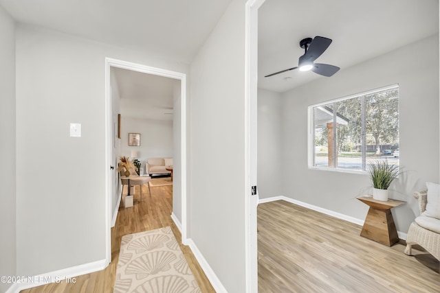 corridor featuring light hardwood / wood-style floors