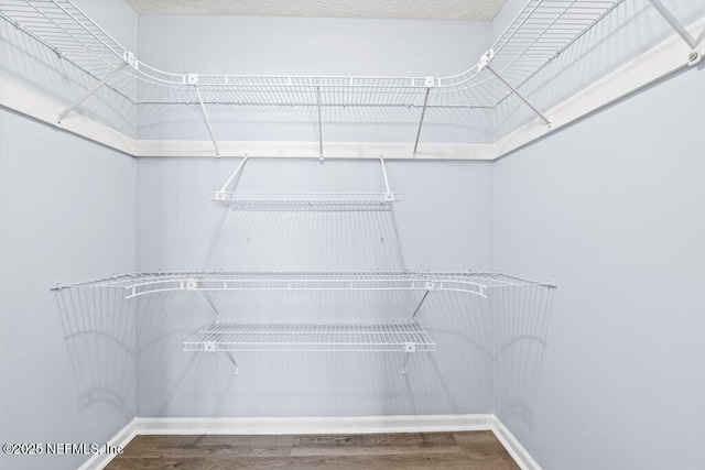 walk in closet featuring hardwood / wood-style floors