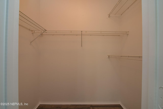 view of walk in closet