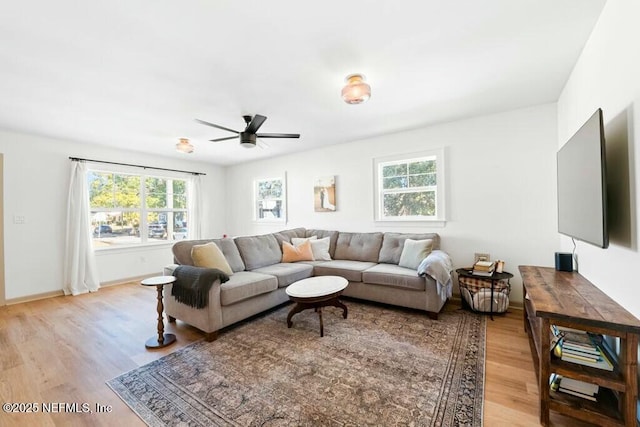 living room with ceiling fan and light hardwood / wood-style floors