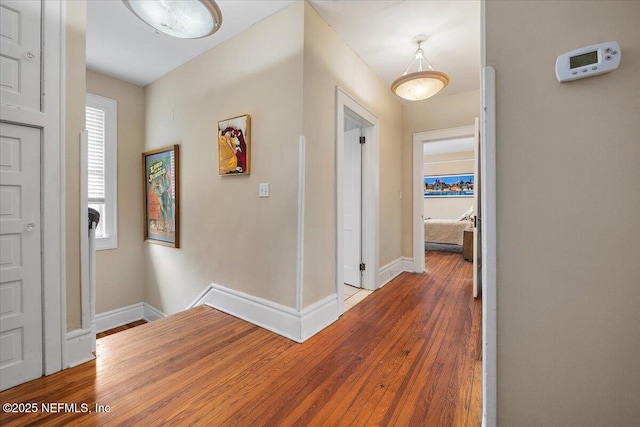 foyer entrance featuring dark wood-type flooring