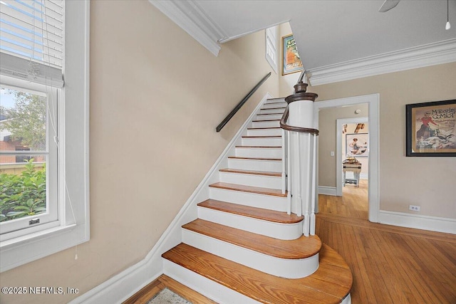 stairway with hardwood / wood-style flooring and ornamental molding