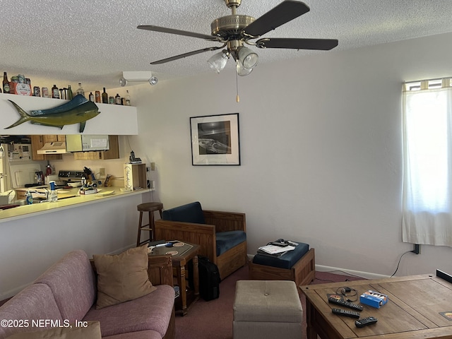 carpeted living room with a textured ceiling