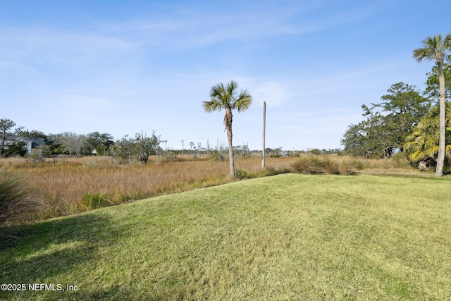 view of yard featuring a rural view