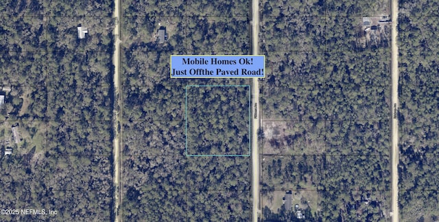 10655 Flikkema Ave, Hastings FL, 32145 land for sale