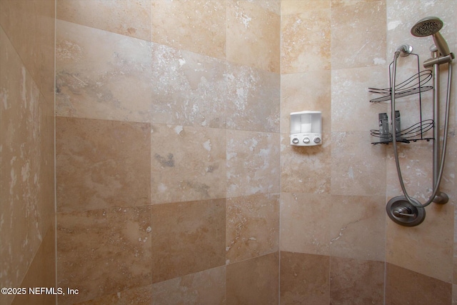 room details with tiled shower