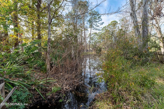 view of nature