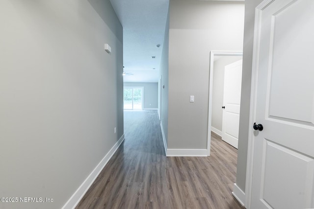 hallway featuring wood-type flooring