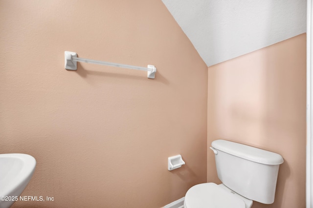 bathroom with vaulted ceiling and toilet