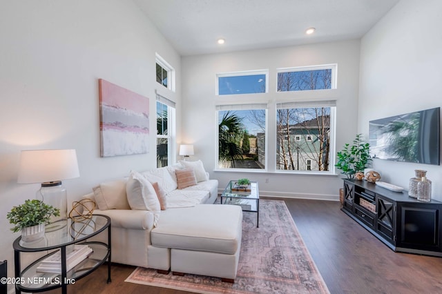 living room with dark hardwood / wood-style flooring