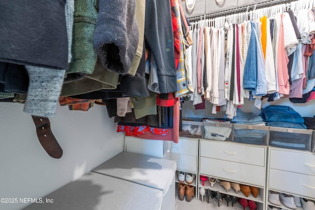 view of spacious closet