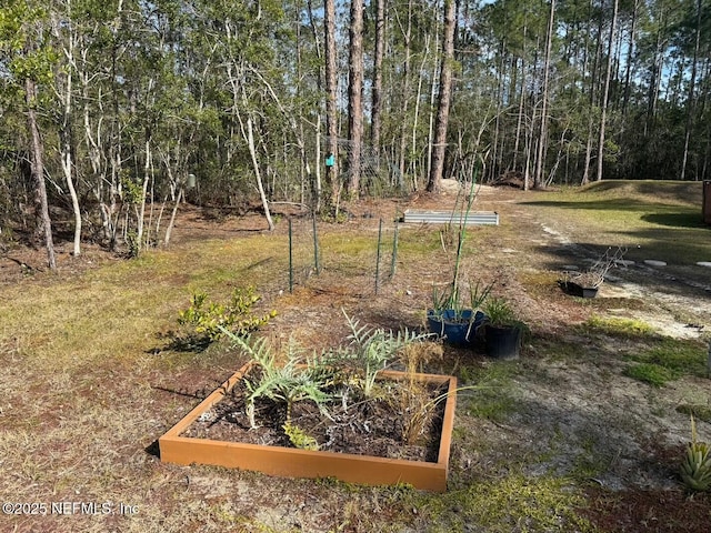 view of yard with a garden