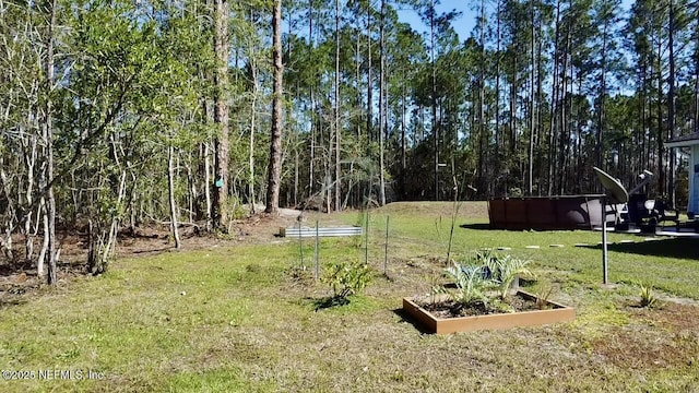 view of yard with a vegetable garden