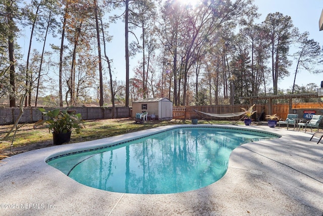 view of pool with a patio and a storage unit