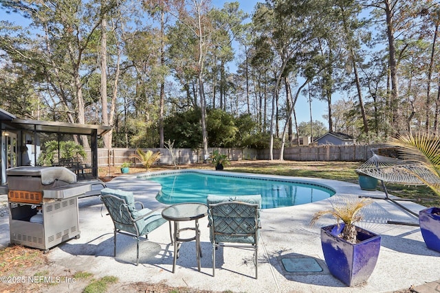 view of swimming pool featuring a grill