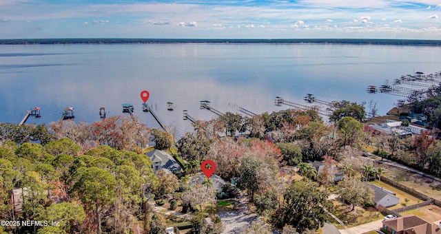 birds eye view of property with a water view