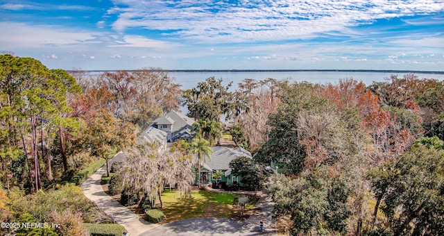 aerial view with a water view