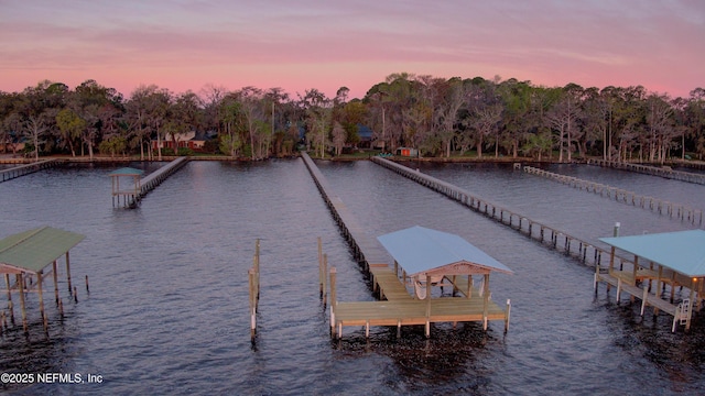 dock area featuring a water view