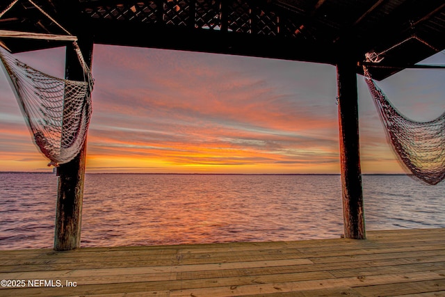 dock area with a water view