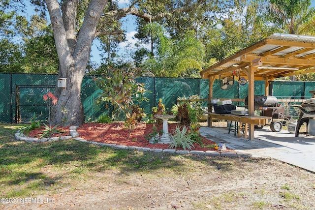 view of yard featuring a pergola and a patio area