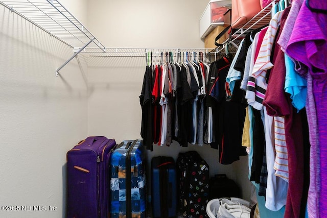 view of walk in closet