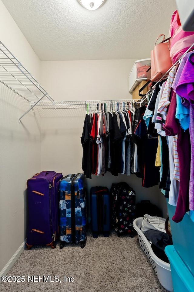 walk in closet with carpet flooring