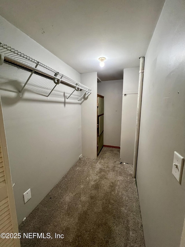 spacious closet with carpet flooring