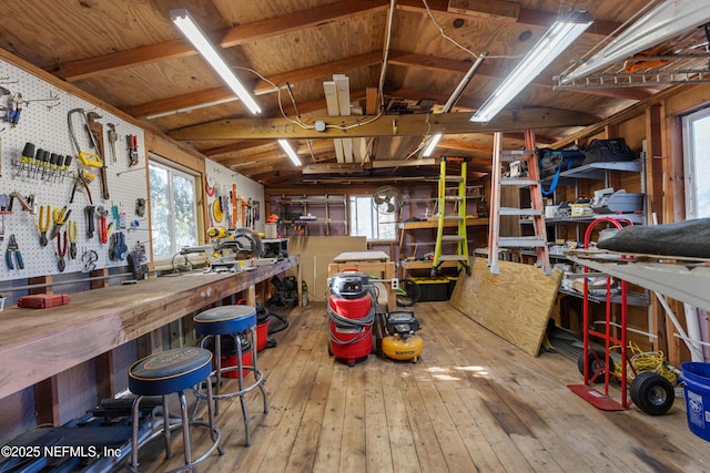 interior space featuring hardwood / wood-style floors, a wealth of natural light, vaulted ceiling, and a workshop area